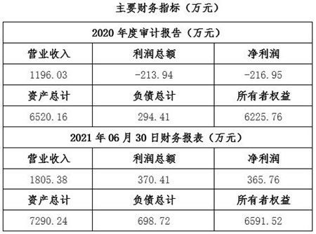 湖北民航技術(shù)服務(wù)公司股權(quán)轉(zhuǎn)讓項目解析 聚焦技術(shù)服務(wù)與技術(shù)成果轉(zhuǎn)移